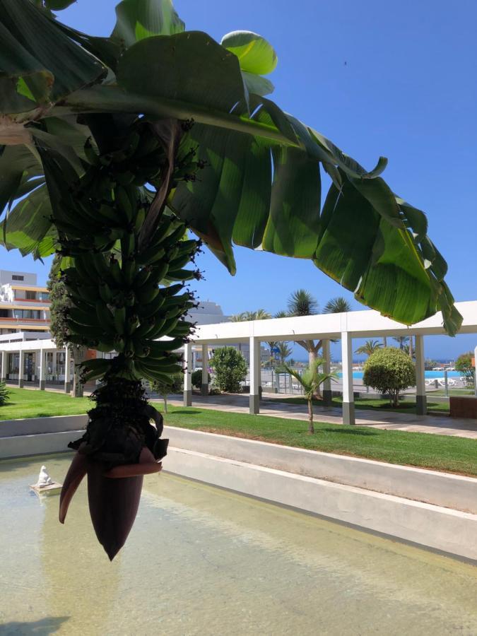 Apartament Good Vibes Costa Del Silencio Zewnętrze zdjęcie